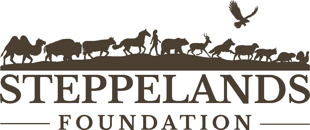 Steppelands
